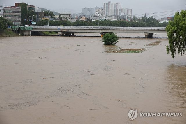 홍수주의보 발효된 청주 흥덕대교