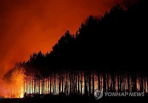 22일 프랑스 남서부 해안가에서 발생한 산불