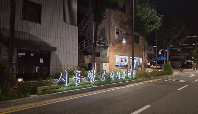 금천구 은행나무로 가로동 개량