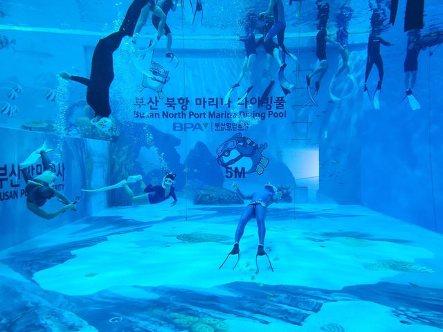 북항마리나 다이빙 풀