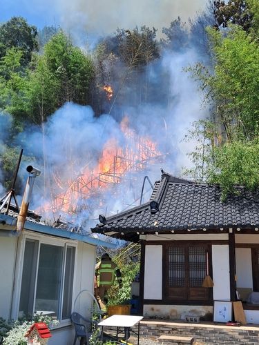 울산 울주 대나무밭 화재 현장
