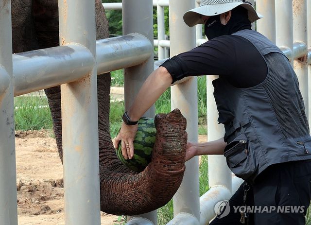 '코 위에 올려주세요'