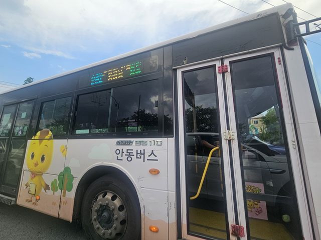 엄마까투리 캐릭터로 래핑한 안동 시내버스