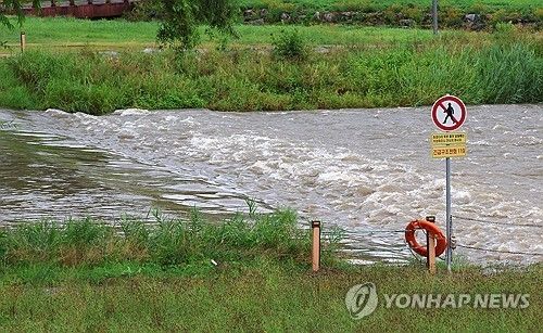 높아진 갑천 수위 