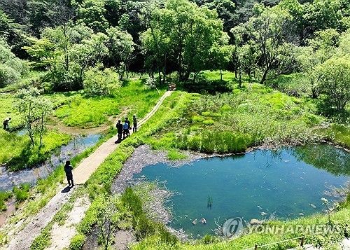 무등산국립공원 평두메습지. [연합뉴스 자료사진]