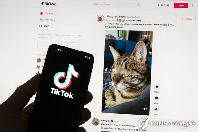 휴대전화 화면 속 틱톡 로고
