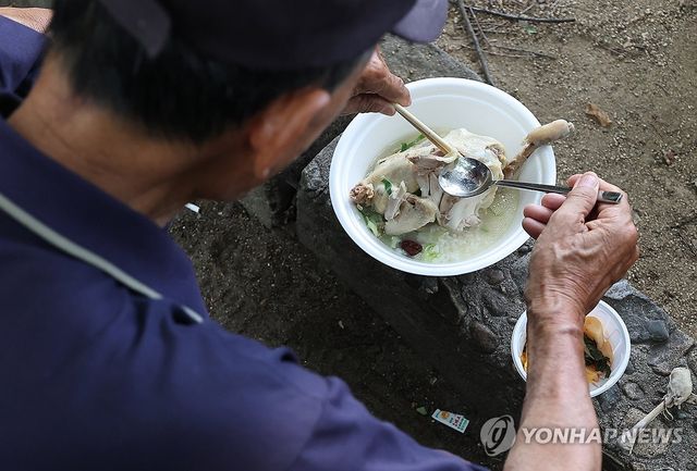 더위 이기는 삼계탕 한 그릇