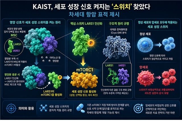 연구이미지(AI 생성)