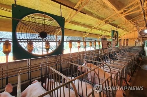 축사에 설치된 대형선풍기