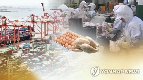 닭고기·계란 수출 재개 (CG)