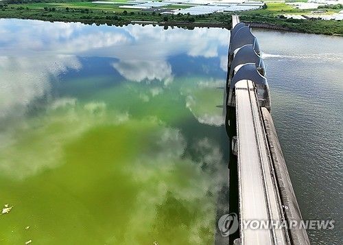 지난 2024년 영산강 승촌보에 녹조가 발생한 모습. [연합뉴스 자료사진]