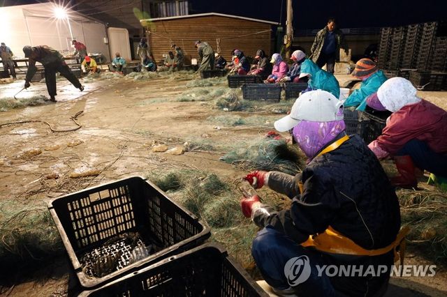 꽃게 작업하는 연평도 어민들