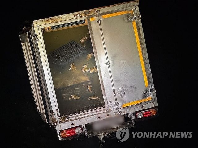 바다에 빠진 불법 꽃게 운송 차량
