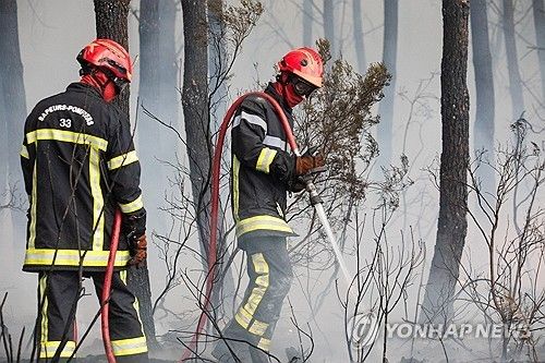 프랑스 남서부 지역 산불 진압하는 소방관들