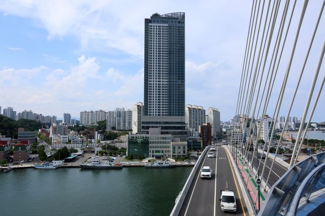 포항 해오름대교 전망대에서 본 도심 풍경