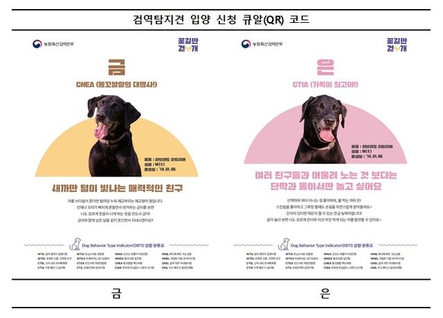 입양 대상견 프로필