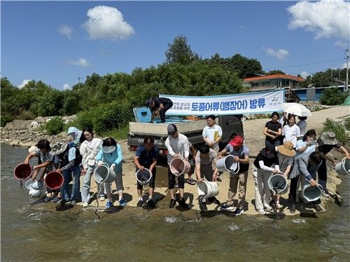 지난 21일 영인면 아산호 창용선착장에서 뱀장어 치어를 방류하는 모습