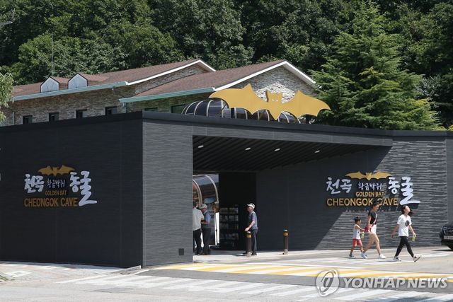 천곡황금박쥐동굴