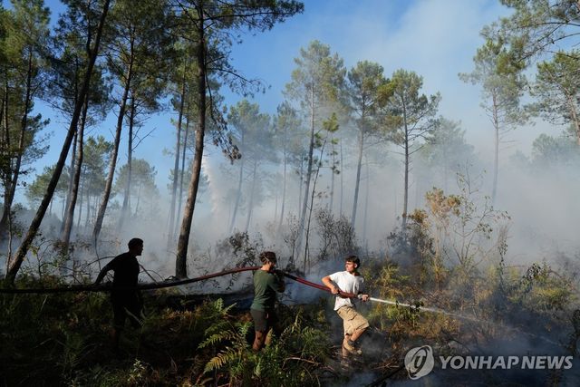 프랑스 보르도 외곽 지역 주민들이 산불 진화에 나선 모습