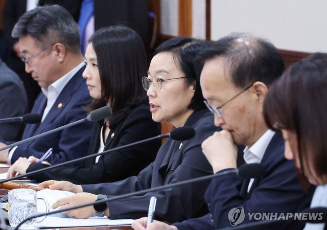 한성숙 국무총리, 국무회의 주재