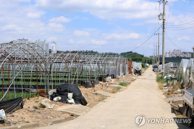사람이 오가지 않는 포항 연일읍 들판