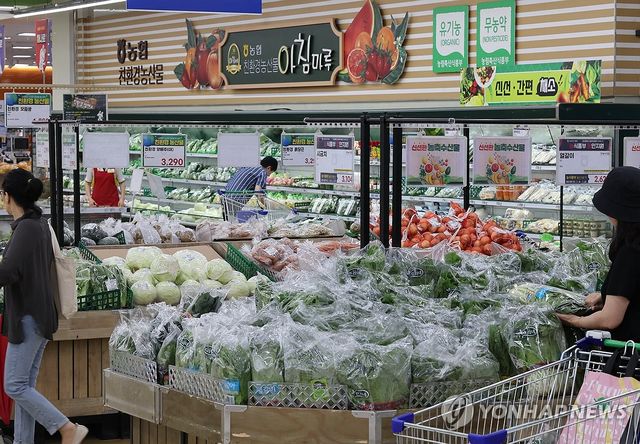 여름철 채소·과일 가격 하락