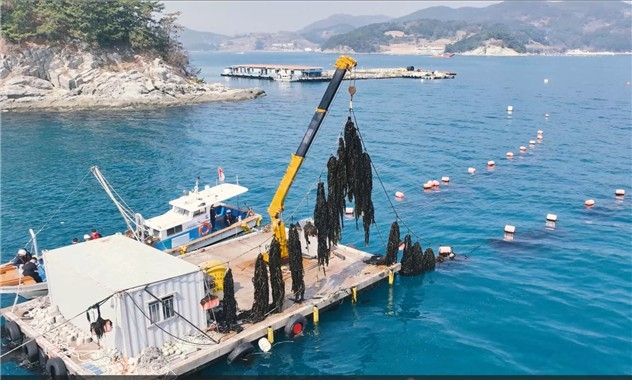 해조류 수확