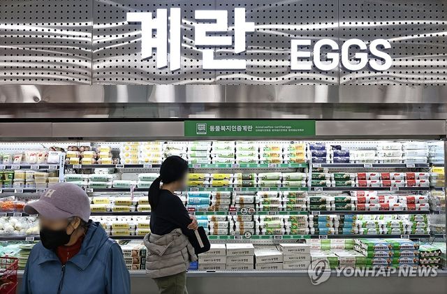 서울 시내의 한 마트에 계란이 진열된 모습