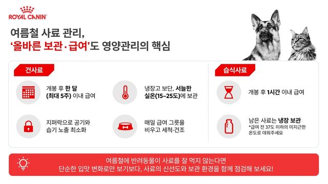 로얄캐닌, 여름철 반려동물 사료 보관·급여 방법 소개