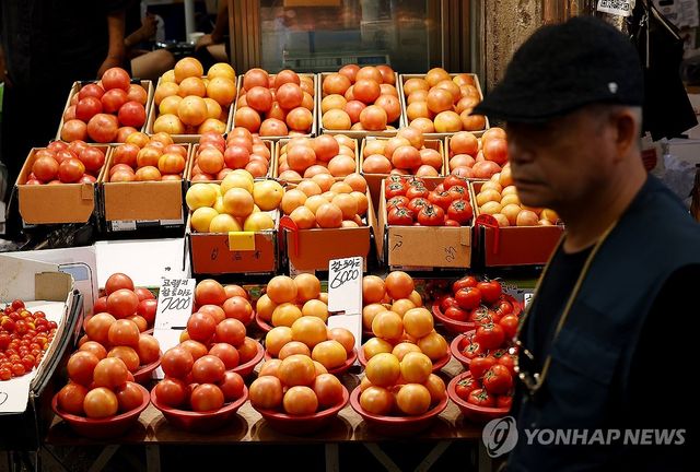 서울 동대문구 청량리종합시장에 토마토가 진열된 모습