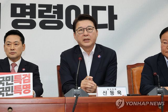 발언하는 신동욱 최고위원