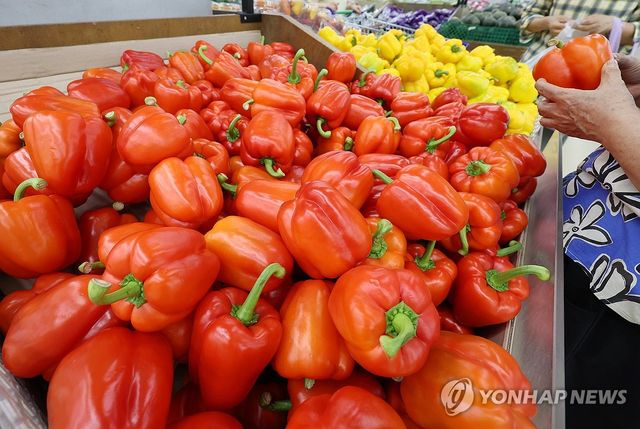 여름철 채소·과일 가격 하락