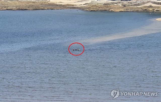 부안서 물때 놓친 3명, 해경에 구조