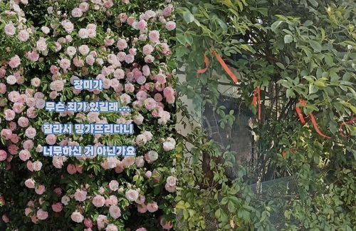 소유주가 절도 피해 지점을 표시해둔 모습(오른쪽)