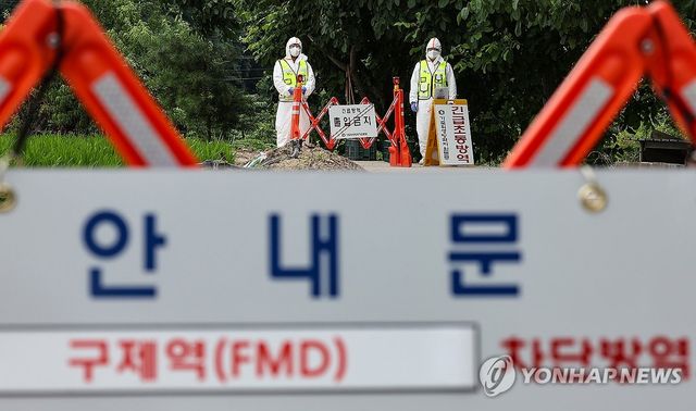 경북 예천서 구제역 발생