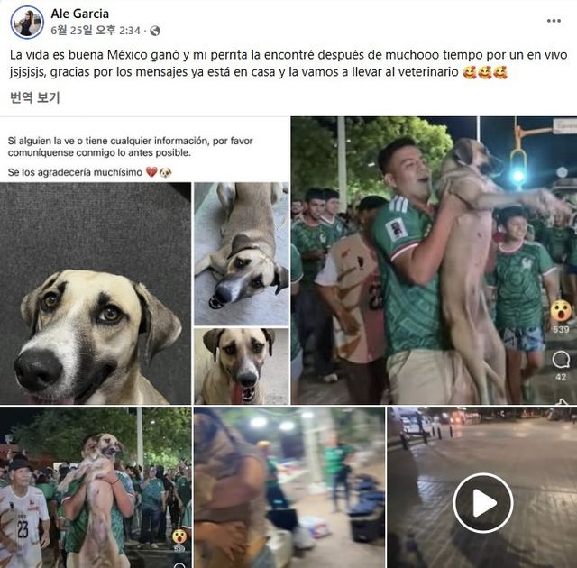 월드컵 거리 응원 영상으로 반려견을 되찾은 알레 가르시아
