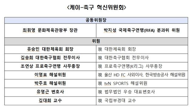 축구 혁신위원회 명단