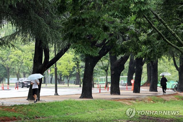 올해 첫 장맛비 내리는 전남대학교 교정