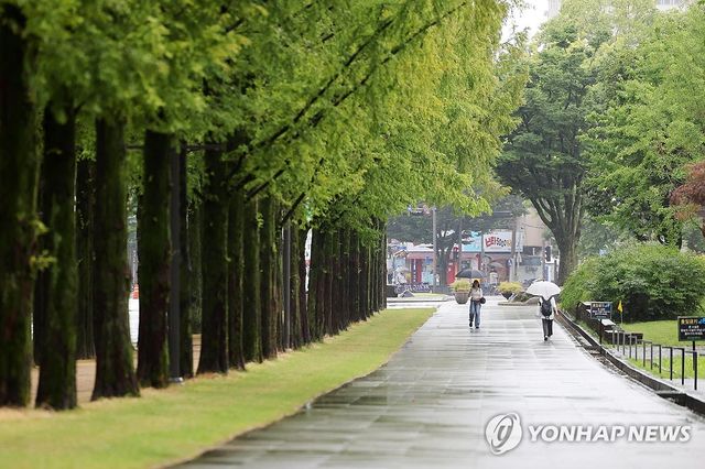 장맛비 내리는 전남대 교정