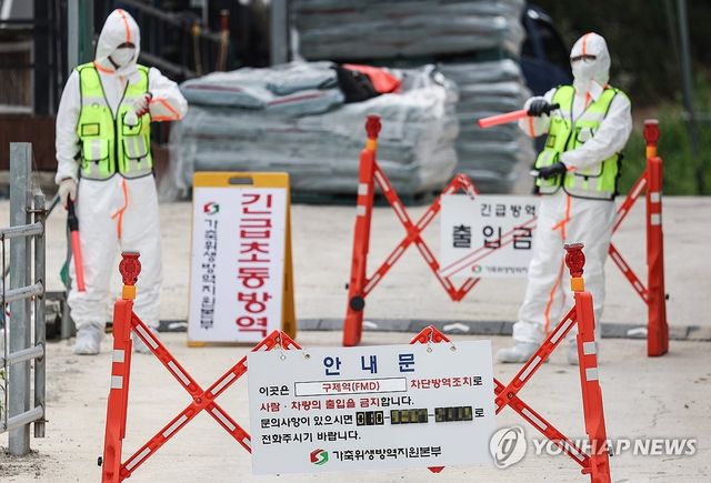 통제되고 있는 구제역 발생 농가