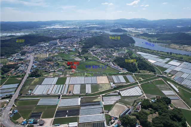 발굴조사 대상지 전경