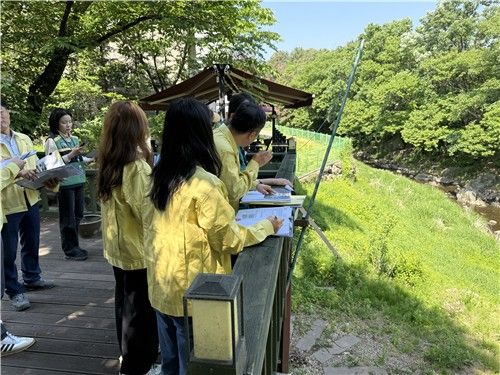 용인시, 하천·계곡 불법행위 전수 조사