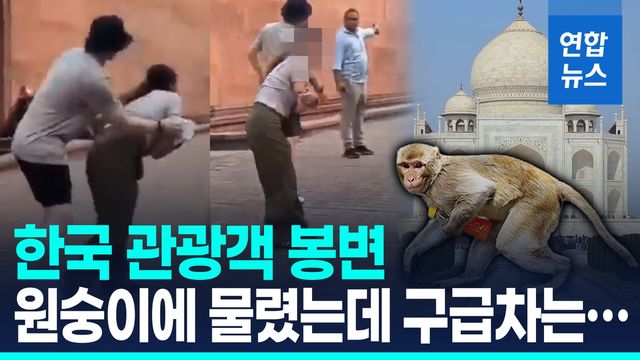 [영상] 타지마할서 한국인 관광객 원숭이에 물려…앰뷸런스 '지각' - 2