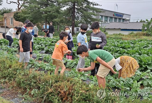 농촌에 유학 온 서울 학생들
