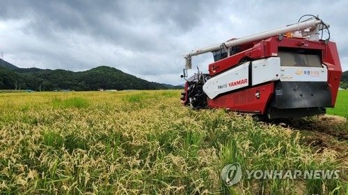 지난해 보령에서 진행된 빠르미2 수확 모습