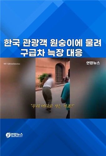 [쇼츠] 한국 관광객 원숭이에 물려…구급차 늑장 대응 - 2