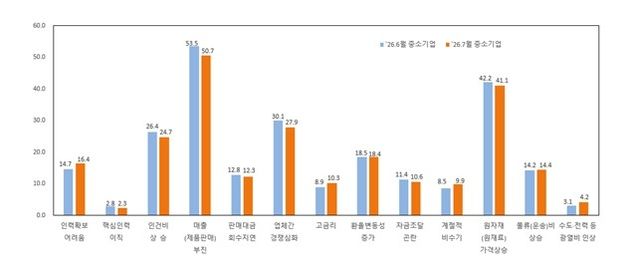 중소기업 경영상 애로사항(%)