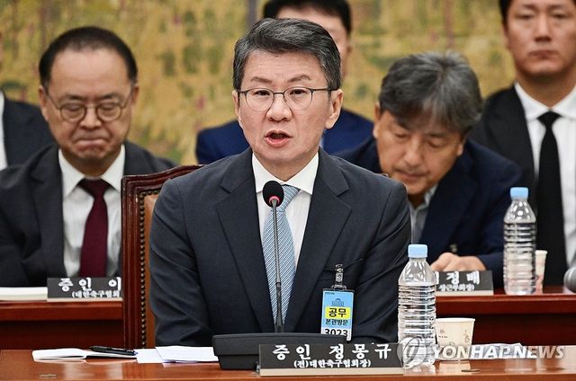 질의에 답하는 정몽규 전 대한축구협회장