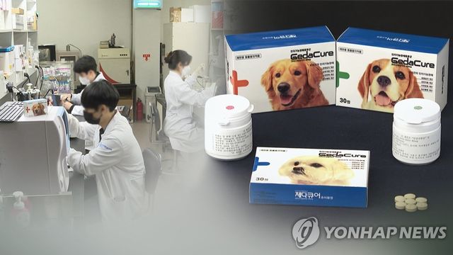 벤처기업 반려동물 치매치료제…해외서도 '관심'(CG)