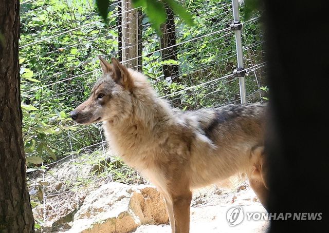"또다시 탈출할 날씨가 아니여"